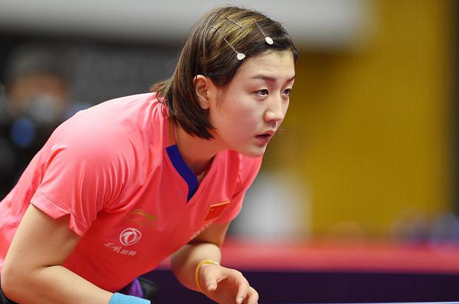 家排球队伍 家排球队伍